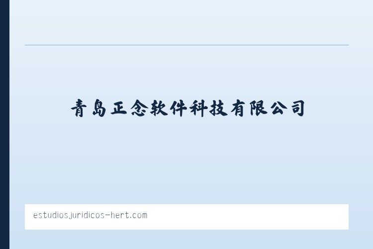 青岛正念软件科技有限公司 列表图