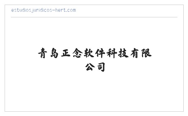 青岛正念软件科技有限公司 缩略图